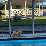 Jagodowy Ski&spa Z Widokiem Na Gory,podgrzewany Basen Zewnetrzny Latem,bilard,swietne Wi-fi,restauracja,balia,sauna Na Miejscu 3*