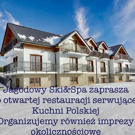 Jagodowy Ski&spa Delux Z Widokiem Na Gory,4km Od Zieleniec Arena Podgrzewany Basen Zewnetrzny Latem,bilard,wi-fi W Cenie Restauracja,balia,sauna Na Miejscu