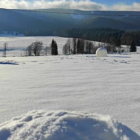Jagodowy Ski&spa Delux Z Widokiem Na Gory,4km Od Zieleniec Arena Podgrzewany Basen Zewnetrzny Latem,bilard,wi-fi W Cenie Restauracja,balia,sauna Na Miejscu 3*
