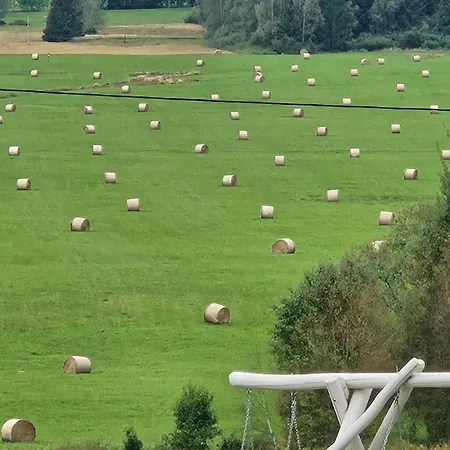 Jagodowy Ski&spa Delux Z Widokiem Na Gory,4km Od Zieleniec Arena Podgrzewany Basen Zewnetrzny Latem,bilard,wi-fi W Cenie Restauracja,balia,sauna Na Miejscu