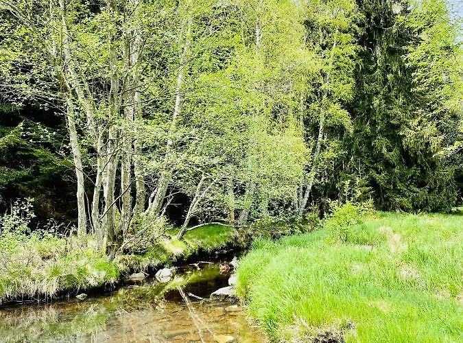 Jagodowy Ski&spa Delux Z Widokiem Na Gory,4km Od Zieleniec Arena Podgrzewany Basen Zewnetrzny Latem,bilard,wi-fi W Cenie Restauracja,balia,sauna Na Miejscu 3*