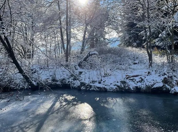Jagodowy Ski&spa Delux Z Widokiem Na Gory,4km Od Zieleniec Arena Podgrzewany Basen Zewnetrzny Latem,bilard,wi-fi W Cenie Restauracja,balia,sauna Na Miejscu Lasowka