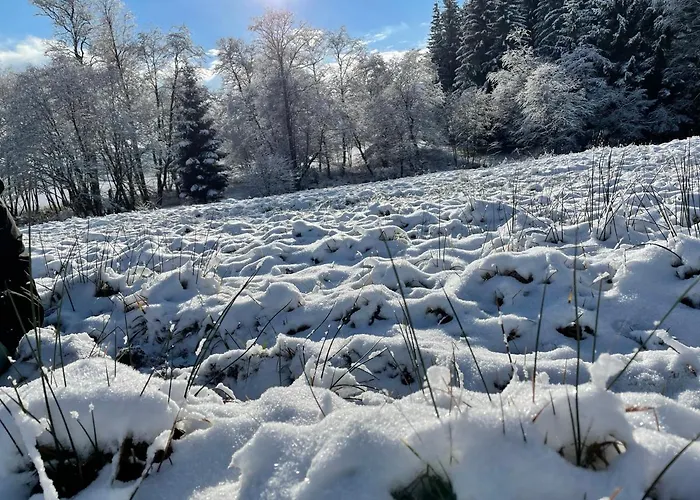 Jagodowy Ski&spa Delux Z Widokiem Na Gory,4km Od Zieleniec Arena Podgrzewany Basen Zewnetrzny Latem,bilard,wi-fi W Cenie Restauracja,balia,sauna Na Miejscu 게스트하우스 3*