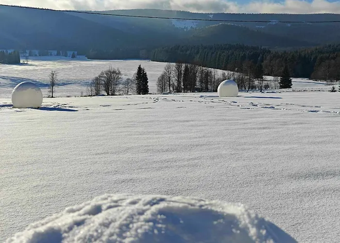 Jagodowy Ski&spa Delux Z Widokiem Na Gory,4km Od Zieleniec Arena Podgrzewany Basen Zewnetrzny Latem,bilard,wi-fi W Cenie Restauracja,balia,sauna Na Miejscu 3*