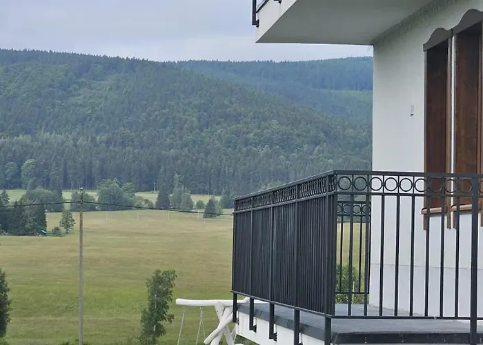 게스트하우스 Jagodowy Ski&spa Delux Z Widokiem Na Gory,4km Od Zieleniec Arena Podgrzewany Basen Zewnetrzny Latem,bilard,wi-fi W Cenie Restauracja,balia,sauna Na Miejscu 3*