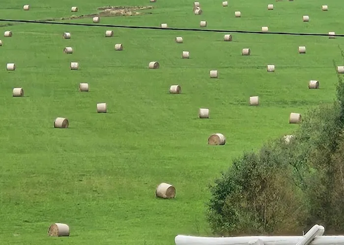 Jagodowy Ski&spa Delux Z Widokiem Na Gory,4km Od Zieleniec Arena Podgrzewany Basen Zewnetrzny Latem,bilard,wi-fi W Cenie Restauracja,balia,sauna Na Miejscu