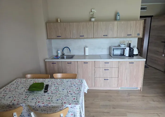 게스트하우스 Jagodowy Ski&spa Delux Z Widokiem Na Gory,4km Od Zieleniec Arena Podgrzewany Basen Zewnetrzny Latem,bilard,wi-fi W Cenie Restauracja,balia,sauna Na Miejscu